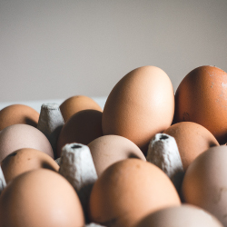 Eggeproteiner og mat